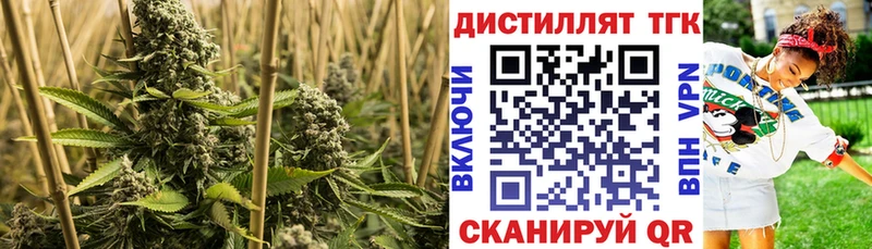 Купить где Неман Дистиллят ТГК THC oil