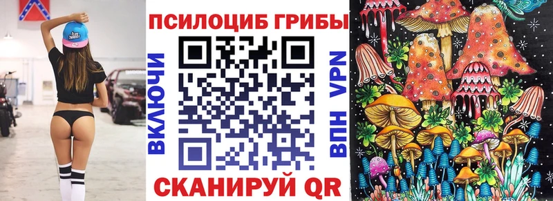 Купить  Неман  Псилоцибиновые грибы Cubensis 